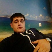  ,   Krasavchik, 33 ,   ,   , c 