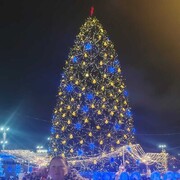 ���������� ������������, ���� ������� �������, 40 ���, ������������ ��� ������, ����� � ���������