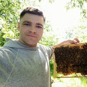  ,  Vadim, 33
