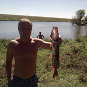 ���������� ������ �����, ���� ������� �������, 41 ���, ������������ ��� ������, ����� � ���������, c�������� ���������