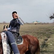 ���������� ������-��-����, ���� ������� ������, 41 ���, ������������ ��� c�������� ���������