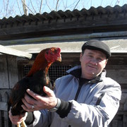  ,   , 62 ,     , c 