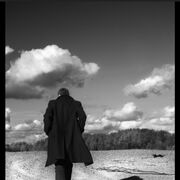 ���������� �����������, ������� �����, 29