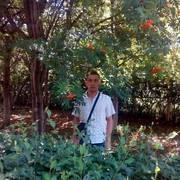  ,   , 44 ,   