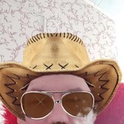 ���������� �����������, ���� ������� ���������, 45 ���, ������������ ��� ������, ����� � ���������, c�������� ���������