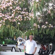 ,   O, 60 ,   ,   , c , 