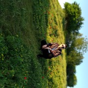 ���������� ���������, ���� ������� �������, 34 ����, ������������ ��� ������, ����� � ���������, c�������� ���������