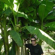  ,   , 57 ,   