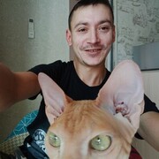  ,   , 37 ,     , c 