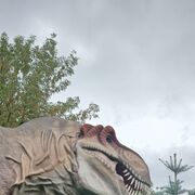  ,  , 36