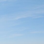 ���������� �����, ���� ������� ������, 41 ���, ������������ ��� ������, ����� � ���������