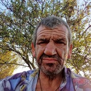  ,   Ser, 55 ,   ,   