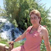 ���������� ������, ���� ������� ��������, 54 ����, ������������ ��� c�������� ���������