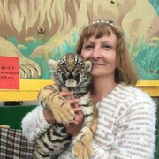 ���������� ��������, ���� ������� �����, 43 ����, ������������ ��� ������, ����� � ���������, c�������� ���������