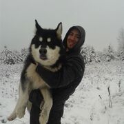 ���������� �����, ���� ������� ����, 34 ����, ������������ ��� ������, ����� � ���������