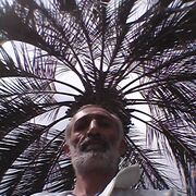 ���������� ������, ���� ������� �����, 55 ���, ������������ ��� ������, ����� � ���������, c�������� ���������