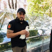 ���������� ������, ���� ������� ������, 34 ����, ������������ ��� ������, ����� � ���������