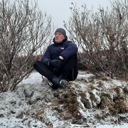 ���������� ������������, ���� ������� ���������, 48 ���, ������������ ��� ������, ����� � ���������