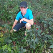 ���������� �������, ���� ������� ����, 38 ���, ������������ ��� c�������� ���������, ���������