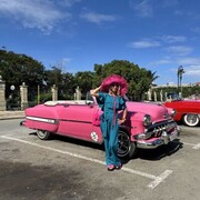 ���������� ������, ���� ������� ����, 52 ����, ������������ ��� ����� � ���������, c�������� ���������