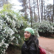  ,   , 37 ,     , c 
