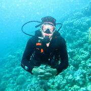 ���������� ������, ���� ������� �������, 28 ���, ������������ ��� ������, ����� � ���������