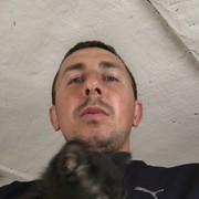  ,   , 44 ,     , c 