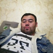  ,   Ale, 33 ,   , 