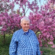  ,   Igor, 65 ,   ,   , c , 