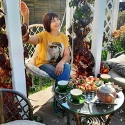 ���������� ������ �����, ���� ������� �������, 59 ���, ������������ ��� c�������� ���������