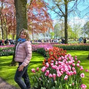  Stade,   , 43 ,   ,   , c 