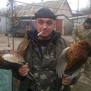  ,   , 57 ,  