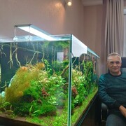  ,   , 65 ,     , c 