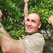 ���������� ������, ���� ������� ����, 41 ���, ������������ ��� ������, ����� � ���������