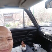 ���������� ������-��-����, ���� ������� ���������, 45 ���, ������������ ��� ����� � ���������, c�������� ���������