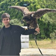 ���������� ����, ���� ����� �������, 20 ���, ������������ ��� ������, ����� � ���������, ���������