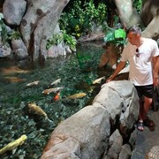 ���������� ������, ���� ������� ���������, 36 ���, ������������ ��� ������, ����� � ���������