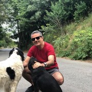  ,   , 66 ,     , c , 