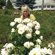  ,   , 56 ,   ,   , c 