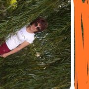 ���������� ������, ���� ������� �������, 49 ���, ������������ ��� ����� � ���������, c�������� ���������