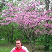 ���������� �����, ���� ������� ������, 39 ���, ������������ ��� ������, ����� � ���������, c�������� ���������