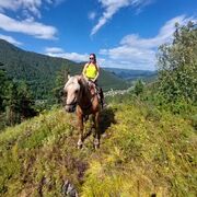 ���������� �������, ���� ������� ������, 46 ���, ������������ ��� ����� � ���������, c�������� ���������