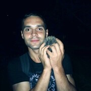 ���������� �������, ���� ������� �����, 33 ����, ������������ ��� ������, ����� � ���������, c�������� ���������