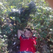 ���������� �������, ���� ������� Sardor, 40 ���, ������������ ��� ������, ����� � ���������, c�������� ���������