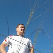  ,   , 52 ,   