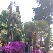 ���������� ������, ���� ������� �����, 62 ����, ������������ ��� c�������� ���������