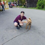 ,   , 34 ,   ,   