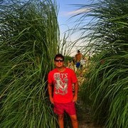 ���������� ������, ���� ������� ��������, 36 ���, ������������ 