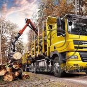 ���������� �������, ���� ������� �������, 30 ���, ������������ ��� ����� � ���������, c�������� ���������