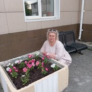  ,   , 50 ,   ,   